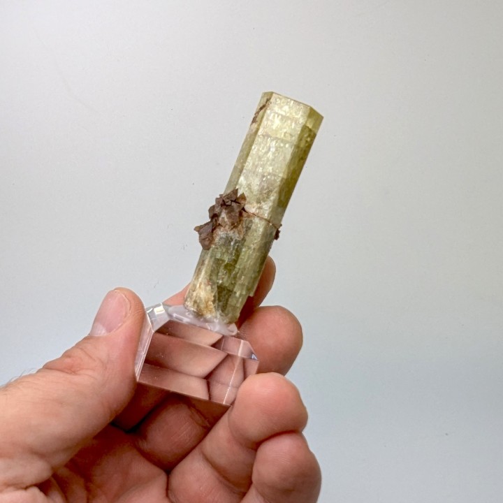 Apatite, Imilchi, Maroc, 5,5 cm