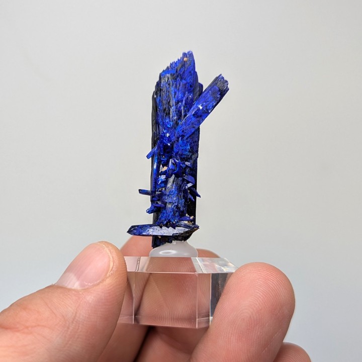 Azurite, Kerouchen, Maroc, 4,8 cm