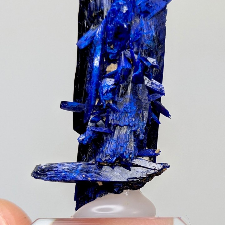 Azurite, Kerouchen, Maroc, 4,8 cm