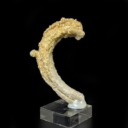 Gypse crosse, Santa Eulalia, Mexique, 7 cm