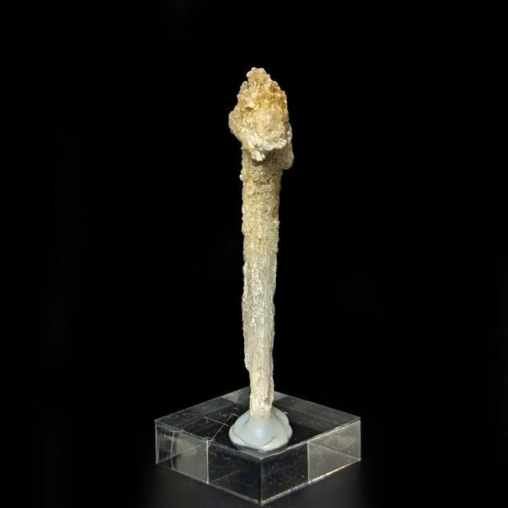 Crosse gypsum, Santa Eulalia, Mexico, 7 cm