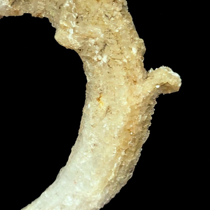 Crosse gypsum, Santa Eulalia, Mexico, 7 cm