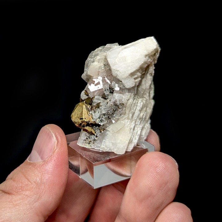 Chalcopyrite, Kambove, Congo, 3,8 cm