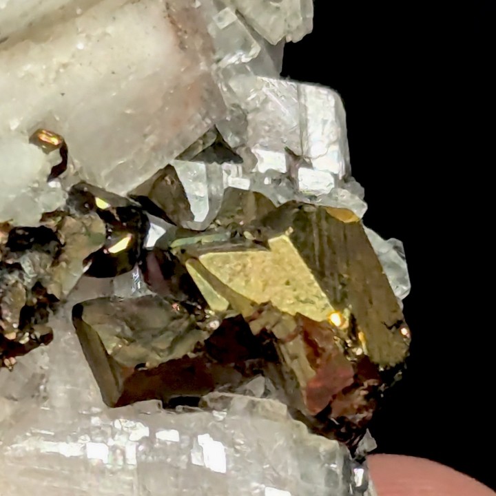 Chalcopyrite, Kambove, Congo, 3,8 cm