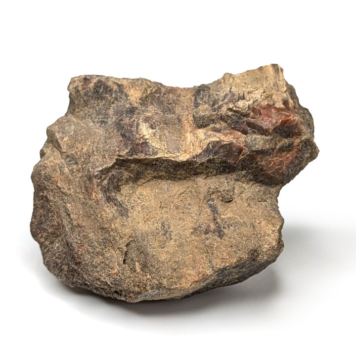 Bois fossile, Morvan, France, 219 grammes