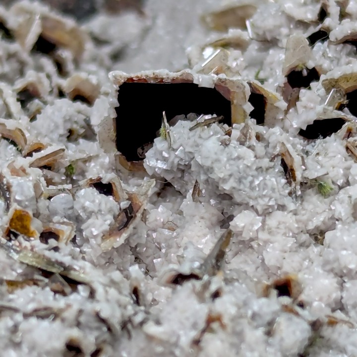 Wulfénite, dolomite, Tsumeb, Namibie, 633 grammes
