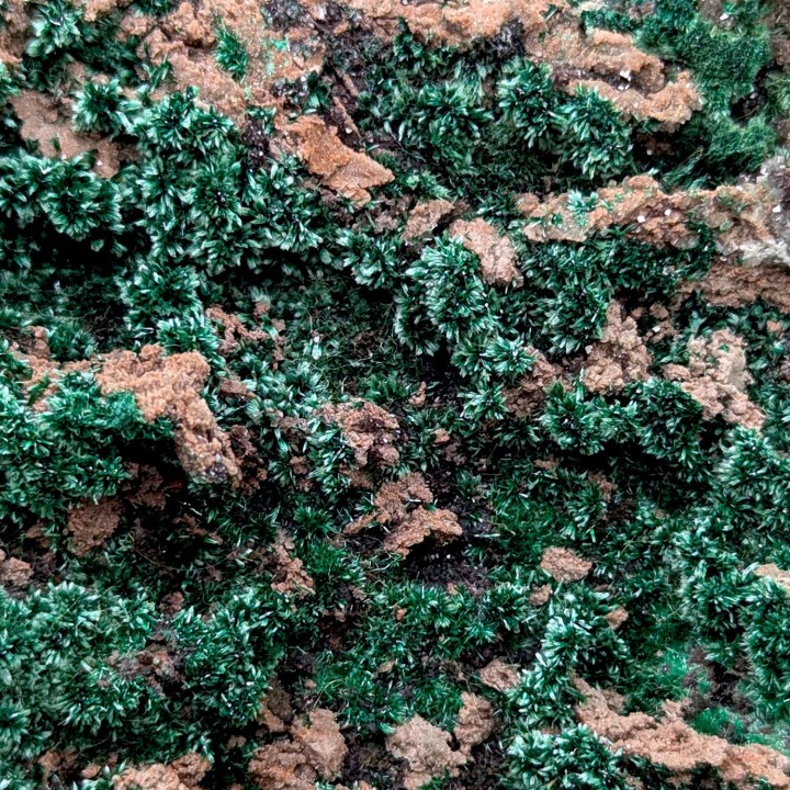 Brochantite, Bou Beker, Maroc, 412 grammes