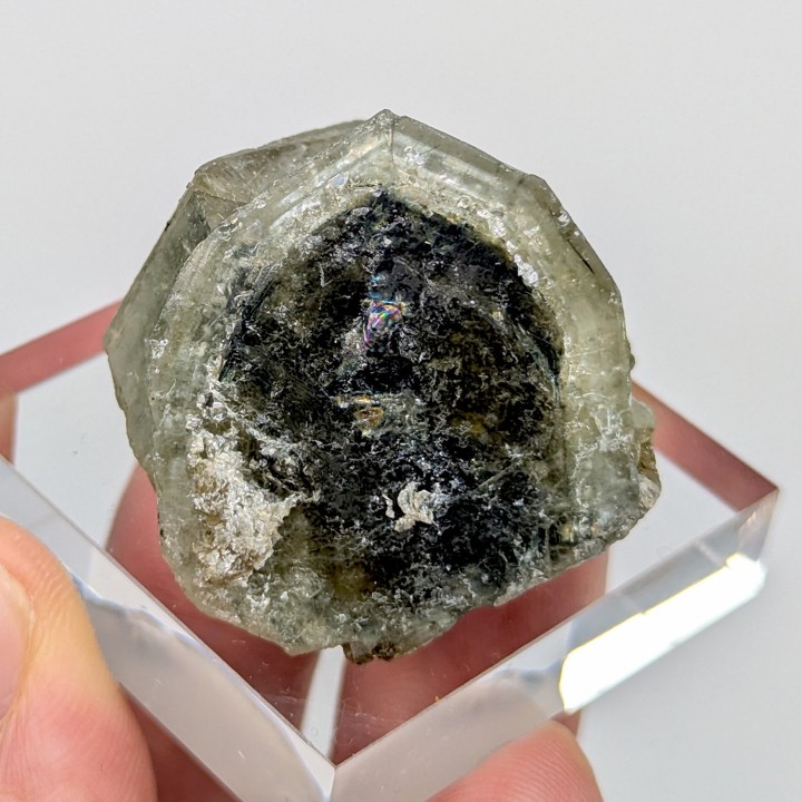 Apatite, Panasqueira, Portugal, 42 grams
