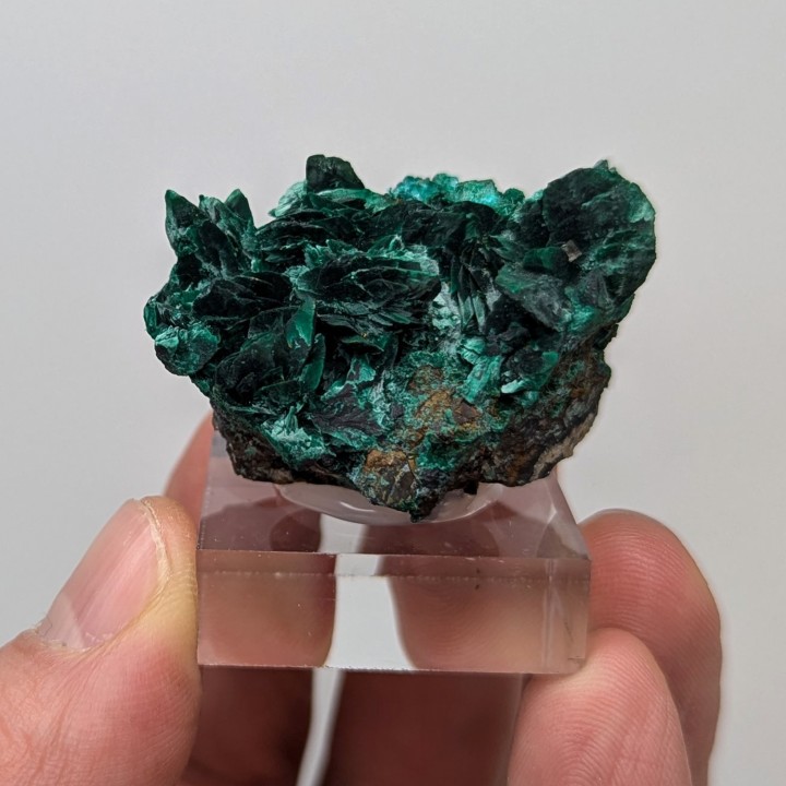 Malachite psm azurite, Antofagasta, Chili, 46 grammes
