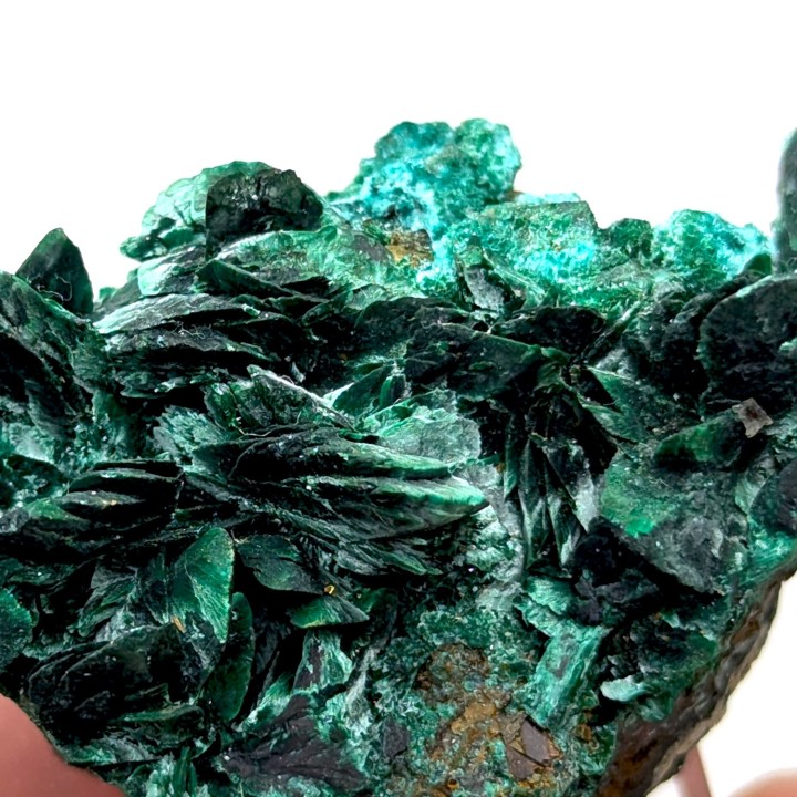 Malachite psm azurite, Antofagasta, Chili, 46 grammes