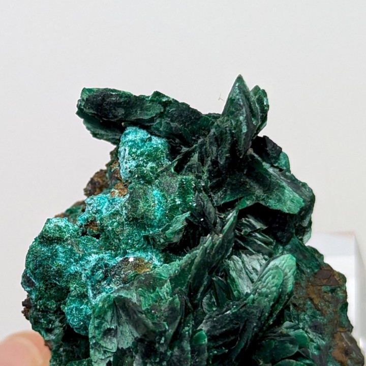 Malachite psm azurite, Antofagasta, Chile, 46 grams