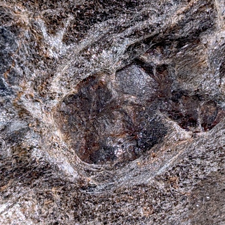 Staurotides, Col du Canadel, France, 190 grammes