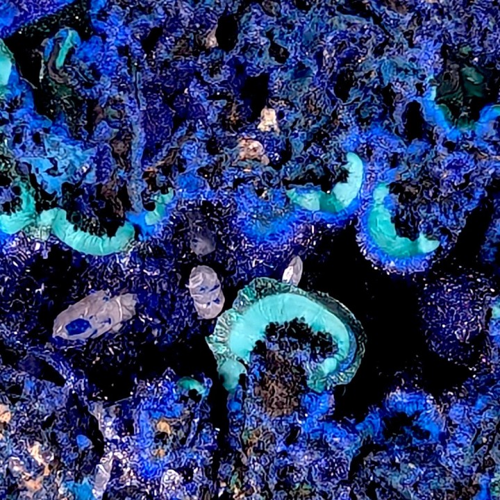 Azurite, cerussite, Mashamba, Congo, 103 grams