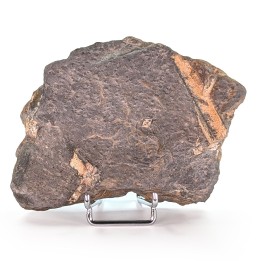 Chiastolite (andalousite), Sainte Brigitte, France, 252 grammes