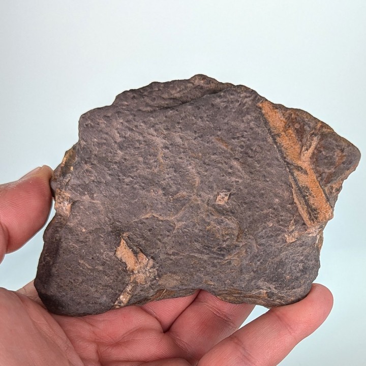 Chiastolite (andalousite), Sainte Brigitte, France, 252 grammes