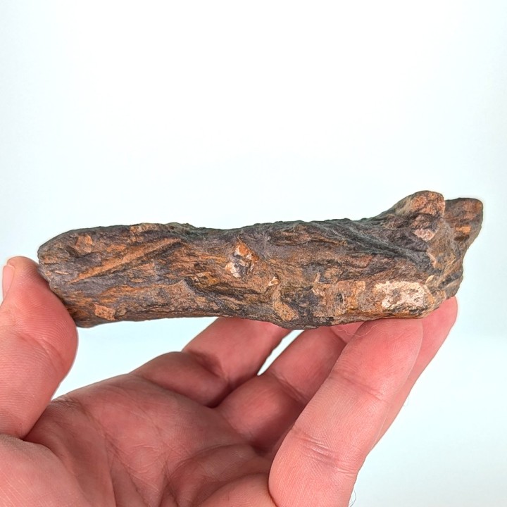 Chiastolite (andalousite), Sainte Brigitte, France, 252 grammes