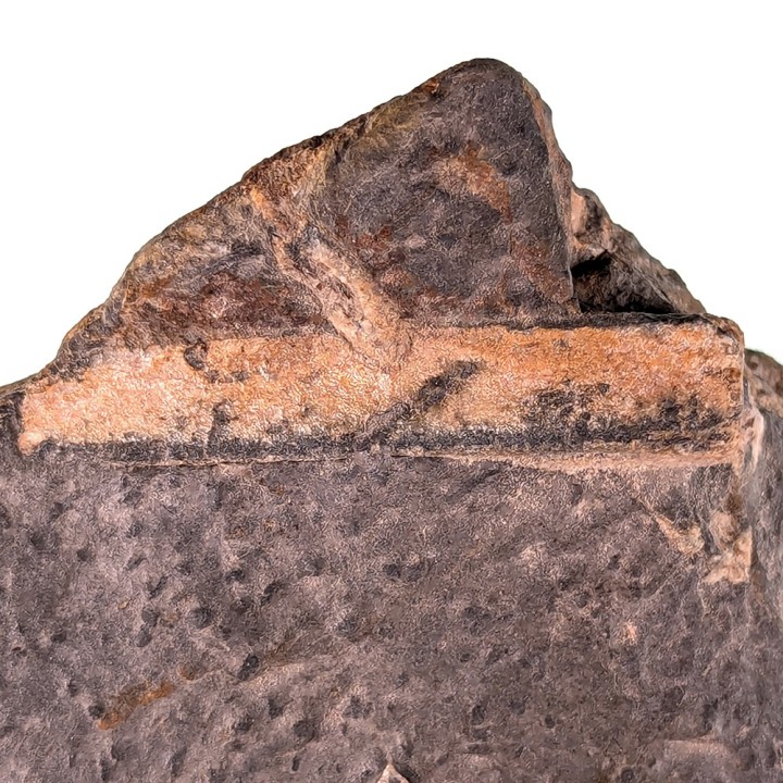 Chiastolite (andalousite), Sainte Brigitte, France, 252 grammes
