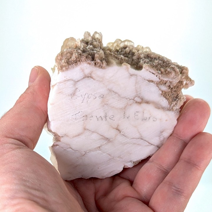 Gypsum, Fuentes de Ebro, Spain, 490 grams