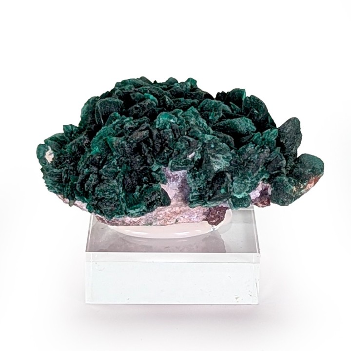 Malachite psm azurite, Milpillas, Mexique, 42 grammes