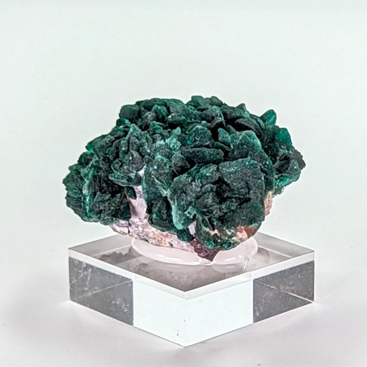 Malachite psm azurite, Milpillas, Mexico, 42 grams