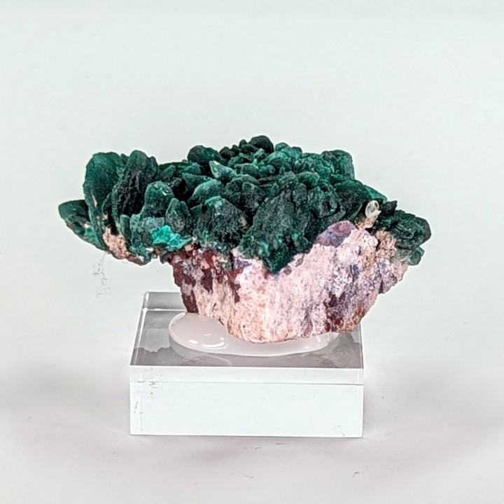 Malachite psm azurite, Milpillas, Mexique, 42 grammes