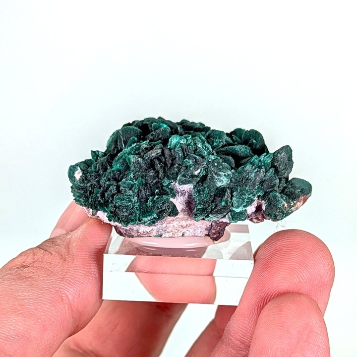 Malachite psm azurite, Milpillas, Mexique, 42 grammes