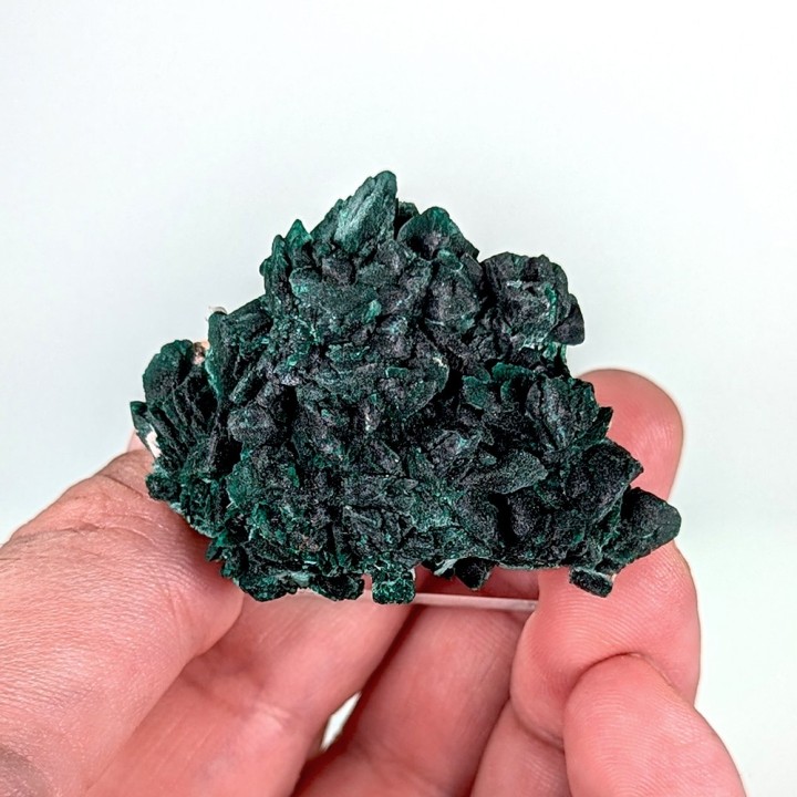 Malachite psm azurite, Milpillas, Mexique, 42 grammes