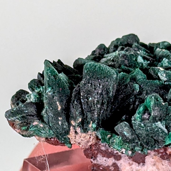Malachite psm azurite, Milpillas, Mexique, 42 grammes