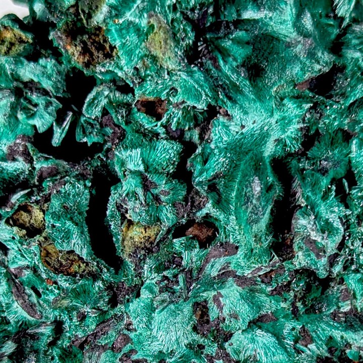 Malachite fibreuse, Mine de Mindigi, Congo, 183 grammes