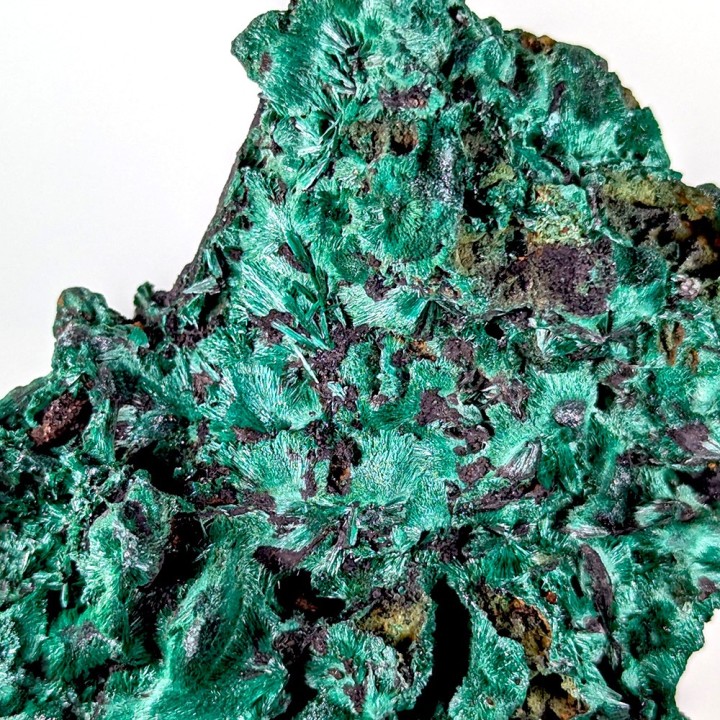 Malachite fibreuse, Mine de Mindigi, Congo, 183 grammes
