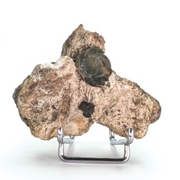 Prehnite, Combe de la Selle, France, 6,4 cm