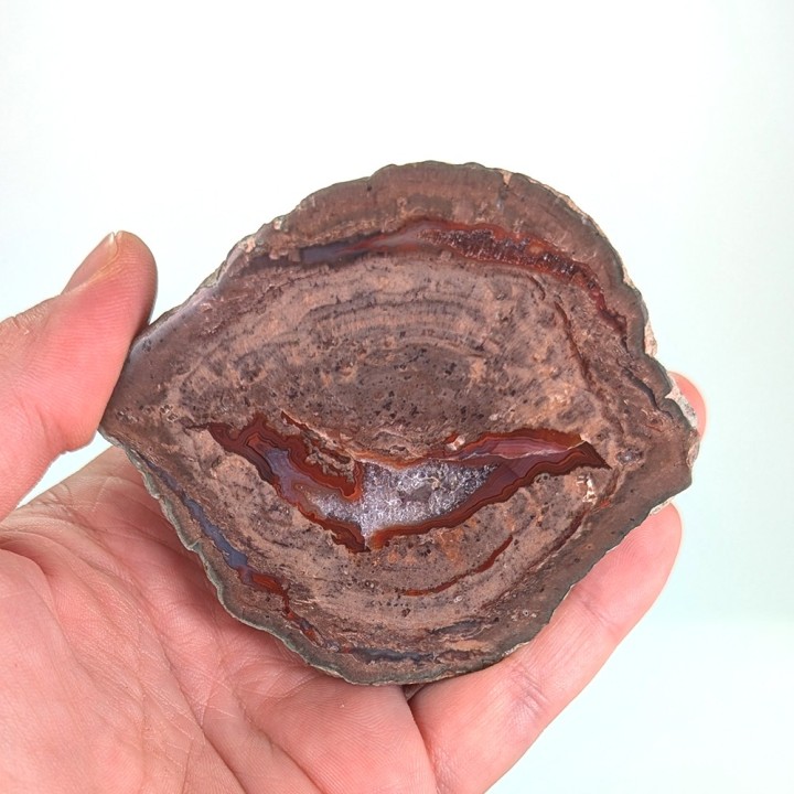 Lithophyse, the Esterel, France, 293 grams