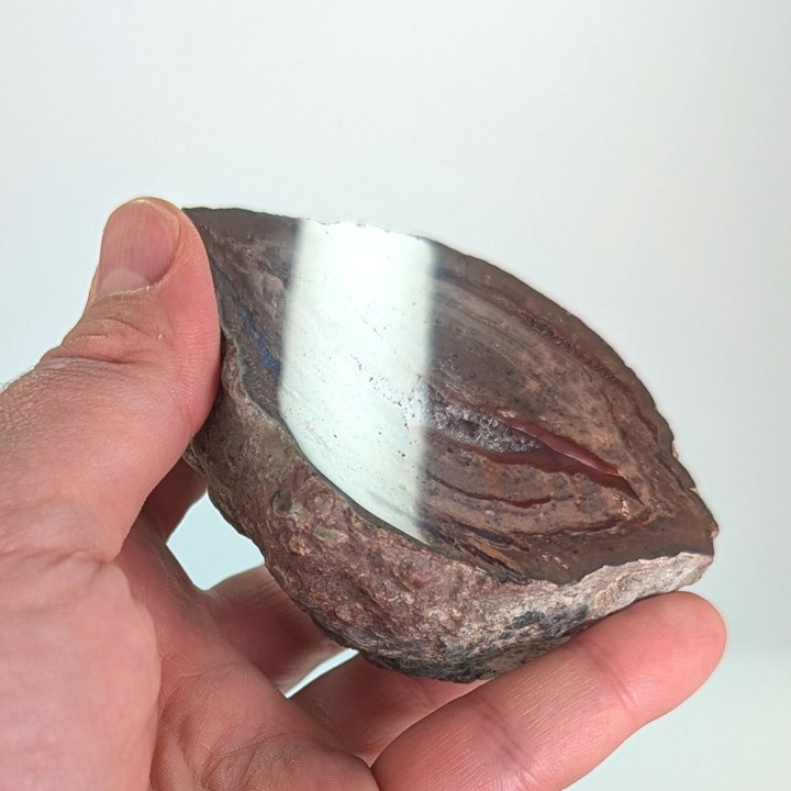 Lithophyse, l'Esterel, France, 293 grammes