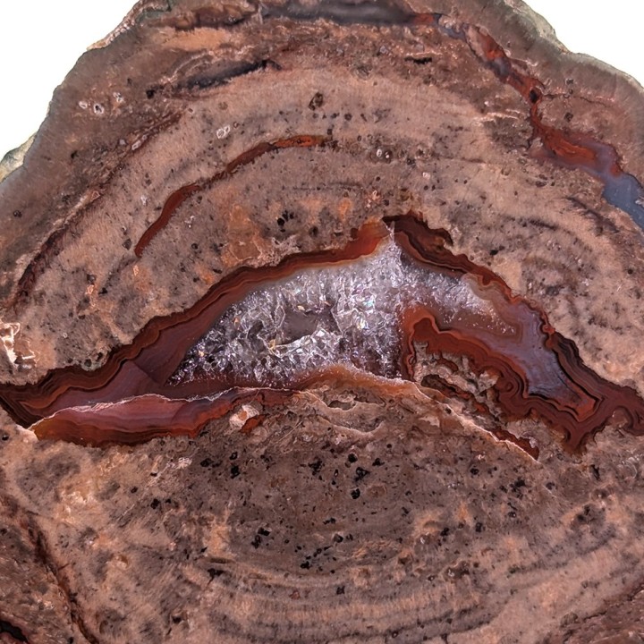Lithophyse, the Esterel, France, 293 grams