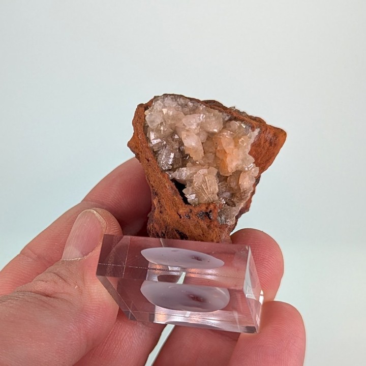 Adamite, Ojuela mine, Mexico, 4.3 cm