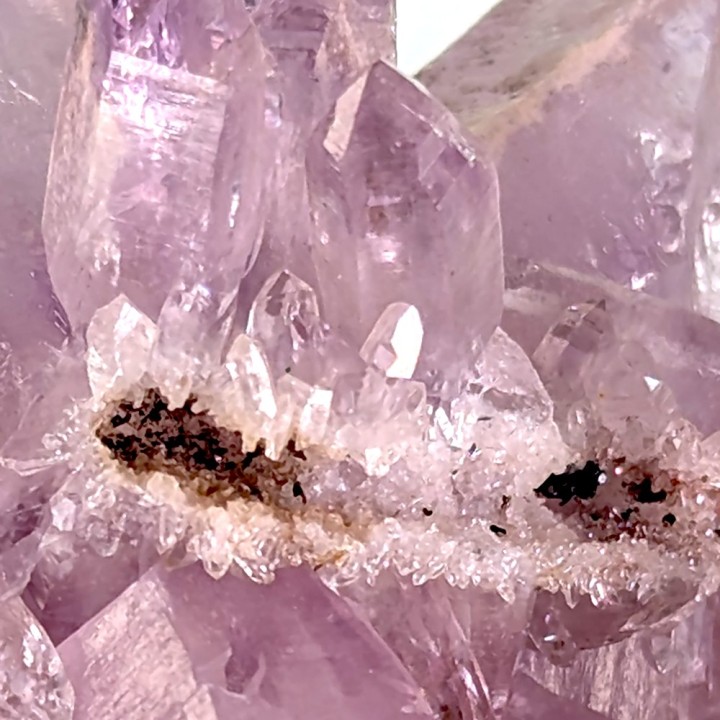Améthyste, Véra Cruz, Mexique, 35 grammes
