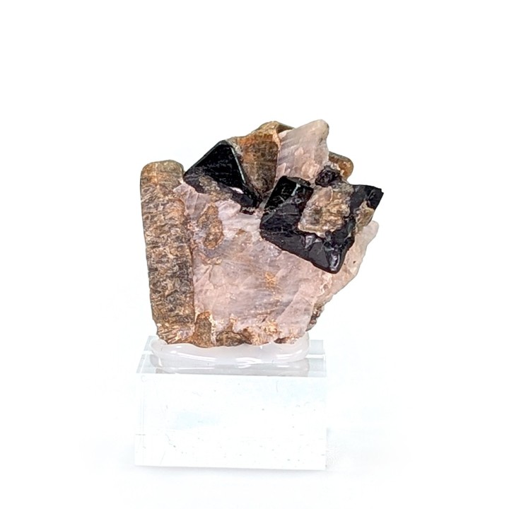 Spinelle, forsterite, Mine Parker, Canada, 2,5 cm