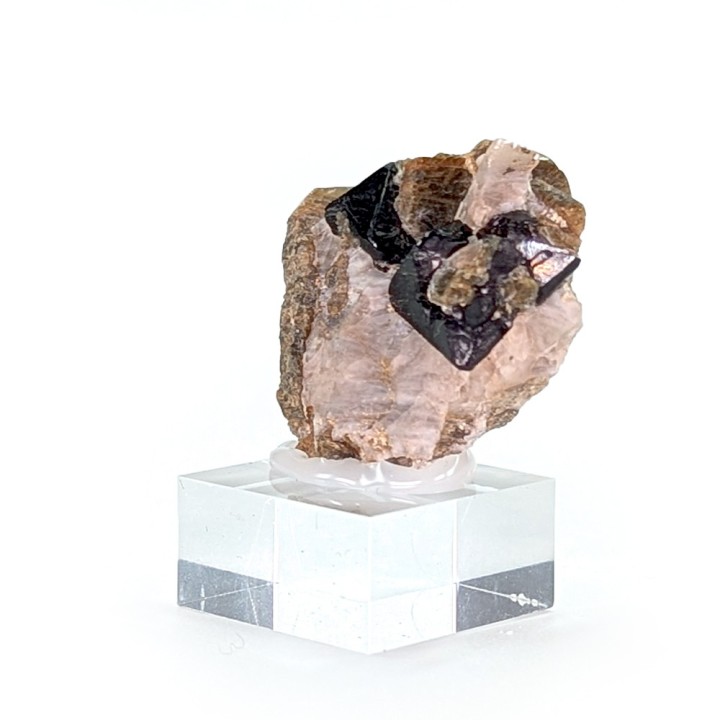 Spinelle, forsterite, Mine Parker, Canada, 2,5 cm