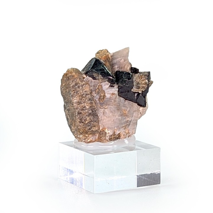 Spinelle, forsterite, Mine Parker, Canada, 2,5 cm