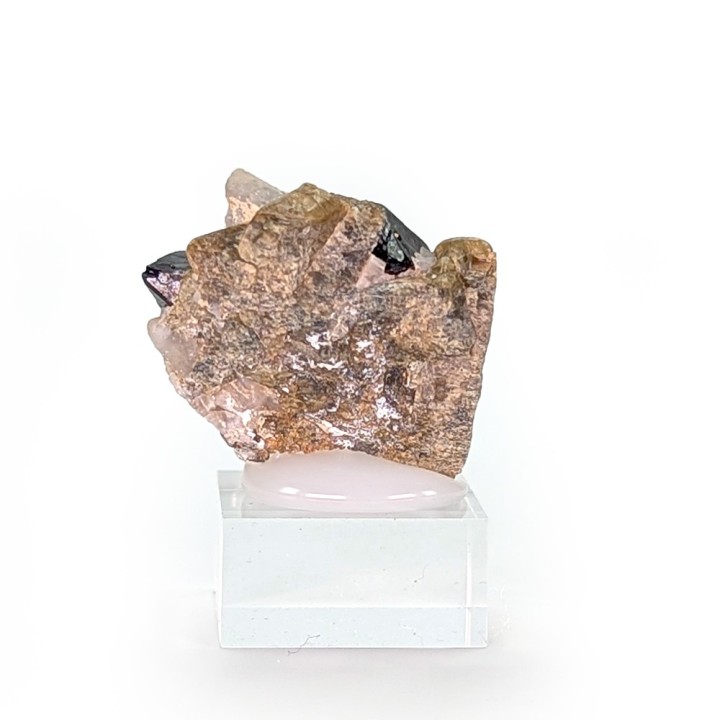 Spinel, forsterite, Parker Mine, Canada, 2.5 cm