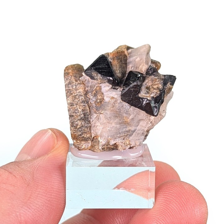 Spinel, forsterite, Parker Mine, Canada, 2.5 cm