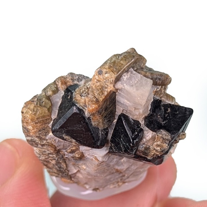 Spinelle, forsterite, Mine Parker, Canada, 2,5 cm
