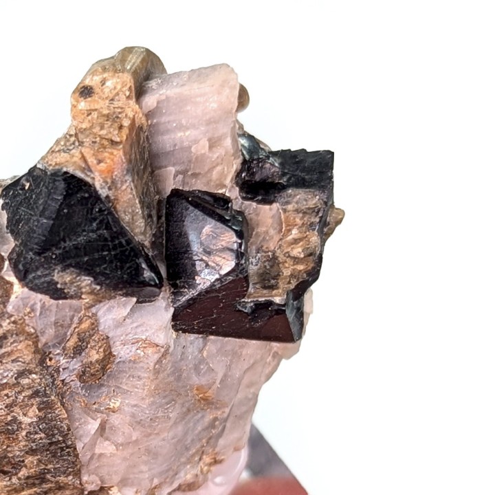 Spinelle, forsterite, Mine Parker, Canada, 2,5 cm