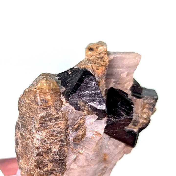 Spinelle, forsterite, Mine Parker, Canada, 2,5 cm