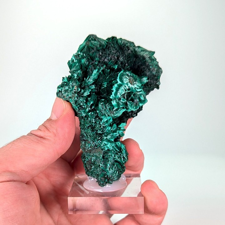 Malachite, Mine de Mindigi, Congo, 170 grammes