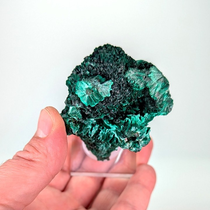 Malachite, Mine de Mindigi, Congo, 170 grammes
