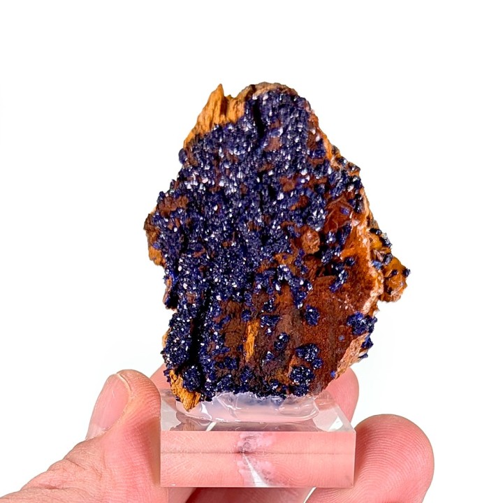 Azurite, Touissit-Bou Beker, Maroc, 46 grammes