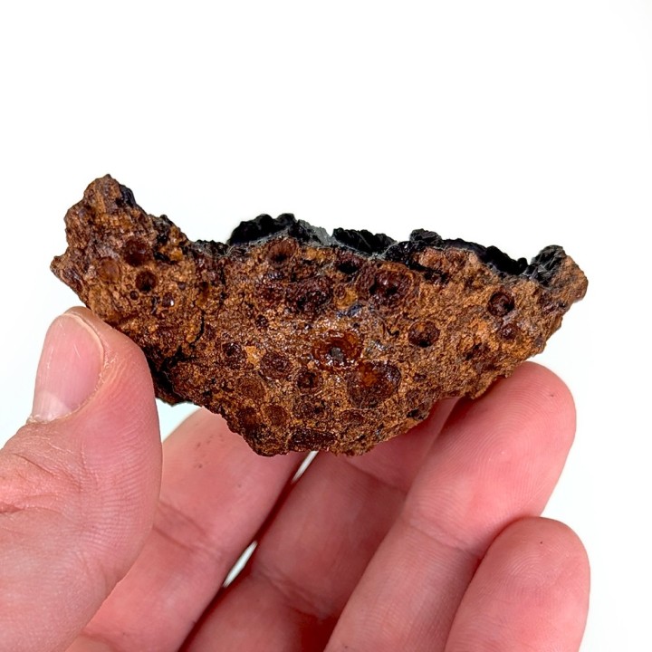 Vivianite, Kerch mine, Ukraine, 57 grams