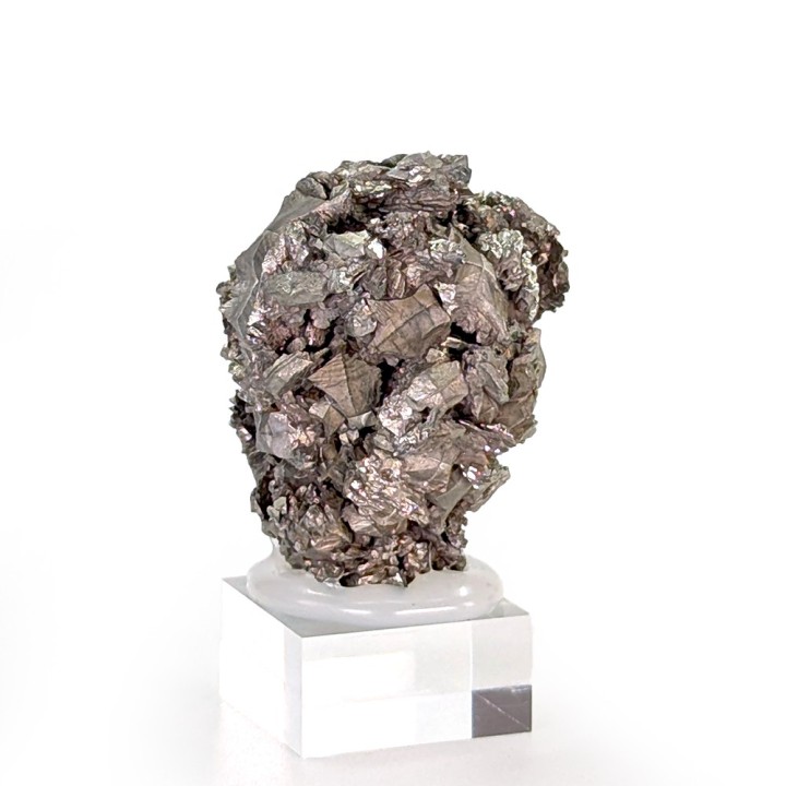 Sperkise with brachidomes, Cap Blanc-Nez, France, 70 grams