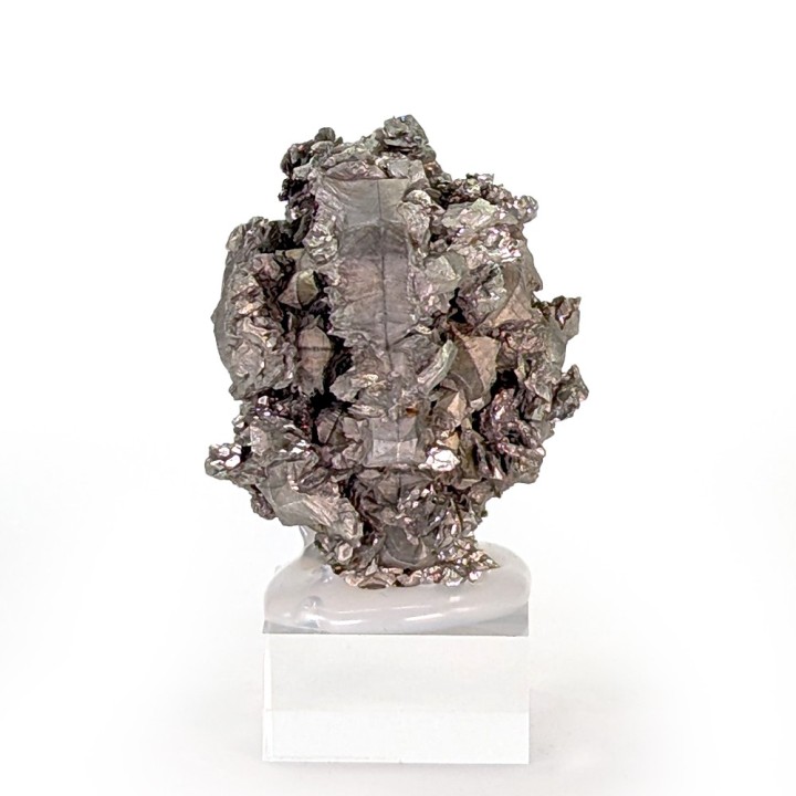 Sperkise with brachidomes, Cap Blanc-Nez, France, 70 grams